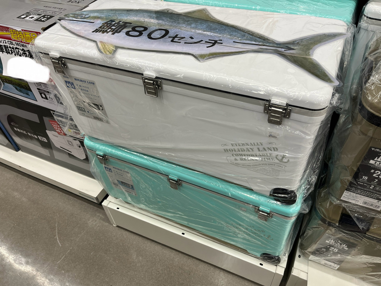 青物にも！おすすめクーラーボックス3選【イシグロ鳴海店】 | イシグロ鳴海店 | 釣具のイシグロ | 釣り情報サイト